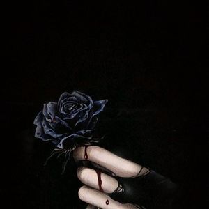 Meet your Posher, Karrie